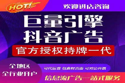 行业领先的SEM投放效果案例解析